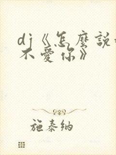 dj《怎么说我不爱你》