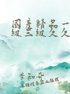 国产精品一级二级三级久久久