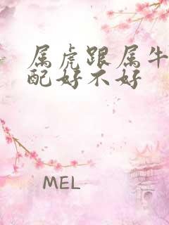 属虎跟属牛的相配好不好