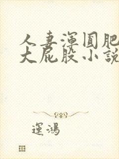 人妻浑圆肥硕的大屁股小说