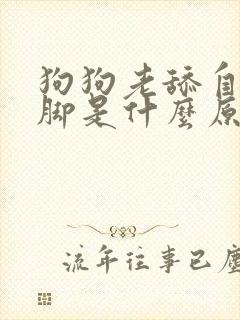 狗狗老舔自己的脚是什么原因