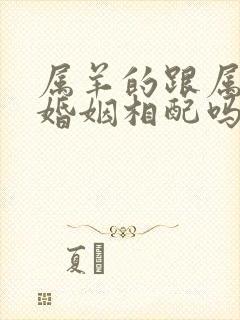 属羊的跟属狗的婚姻相配吗