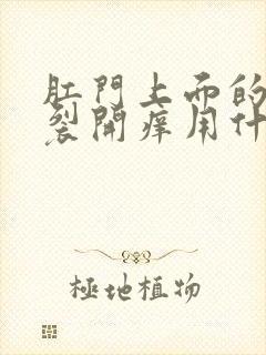 肛门上面的腚沟裂开痒用什么药