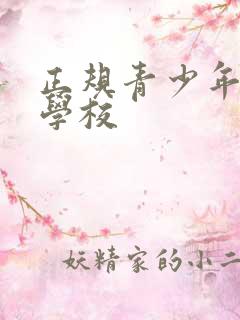 正规青少年叛逆学校