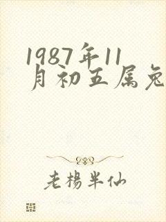 1987年11月初五属兔的命运