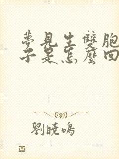 梦见生双胞胎儿子是怎么回事