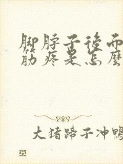 脚脖子后面那个筋疼是怎么回事