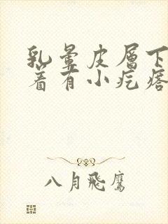 乳晕皮层下面摸着有小疙瘩