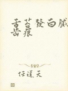 舌苔发白腻 有齿痕