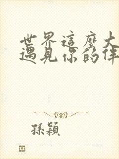 世界这么大还是遇见你的伴奏