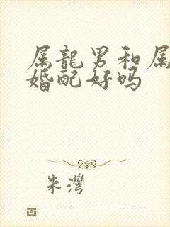 属龙男和属兔女婚配好吗