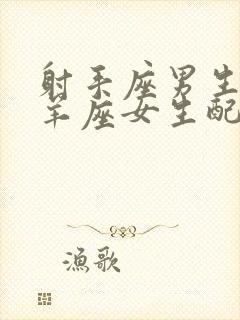 射手座男生和白羊座女生配对指数