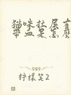 猫咪拉屎有粘液带血是怎么回事