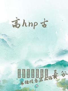 高hnp古