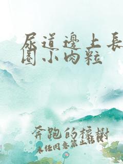 尿道边上长了一圈小肉粒