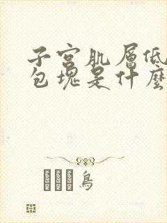 子宫肌层低回声包块是什么意思