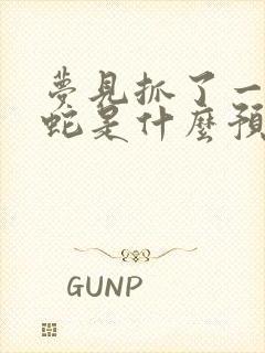 梦见抓了一条黑蛇是什么预兆