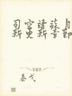 司空靖苏月汐最新更新章节列表