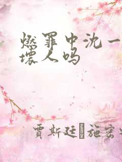 燃罪中沈一人是坏人吗