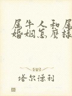 属牛人和属猴人婚姻怎么样