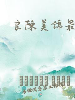 良陈美锦最新版