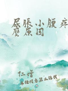 尿胀小腹疼是什么原因