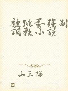 被跳蛋强制高潮调教小说