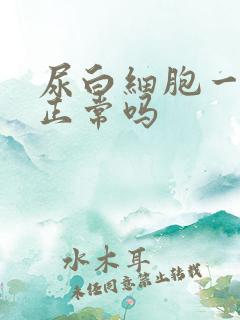 尿白细胞一个+正常吗