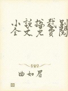 小说总裁别太坏全文免费阅读