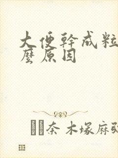 大便干成粒是什么原因