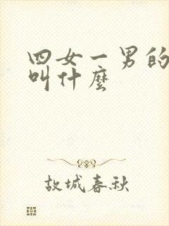 四女一男的组合叫什么