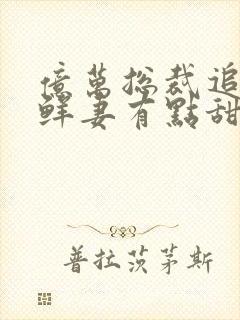 亿万总裁追妻:鲜妻有点甜