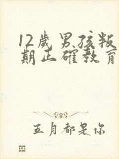 12岁男孩叛逆期正确教育方法