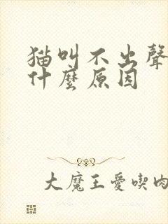 猫叫不出声音是什么原因