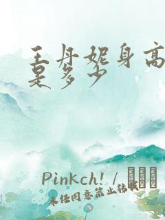 王丹妮身高体重是多少