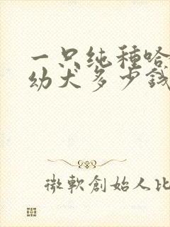 一只纯种哈士奇幼犬多少钱