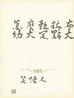 怎么教拉布拉多幼犬定点大小便