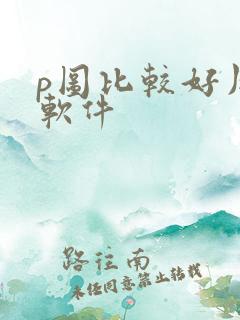 p图比较好用的软件