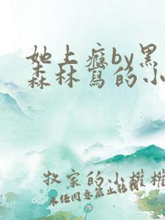 她上瘾by黑暗森林写的小说