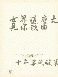 世界这么大还遇见你歌曲