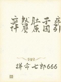 突然肚子疼便血什么原因引起的