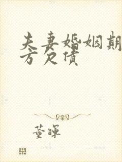 夫妻婚姻期间一方欠债