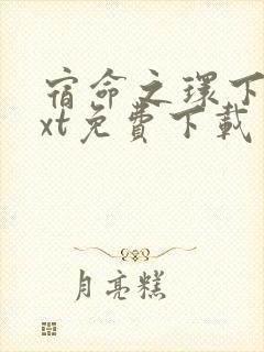 宿命之环下载txt免费下载