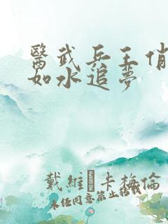 医武兵王俏总裁如水追梦