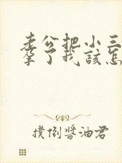 老公把小三搞怀孕了我该怎么办