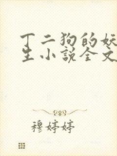 丁二狗的妖孽人生小说全文无删减