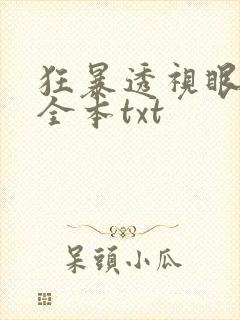 狂暴透视眼下载全本txt