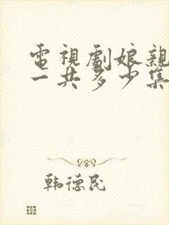 电视剧娘亲舅大一共多少集