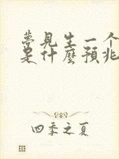 梦见生一个男孩是什么预兆