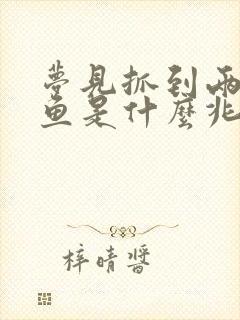 梦见抓到两条大鱼是什么兆头